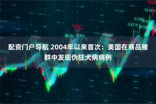 配资门户导航 2004年以来首次：美国在商品猪群中发现伪狂犬病病例