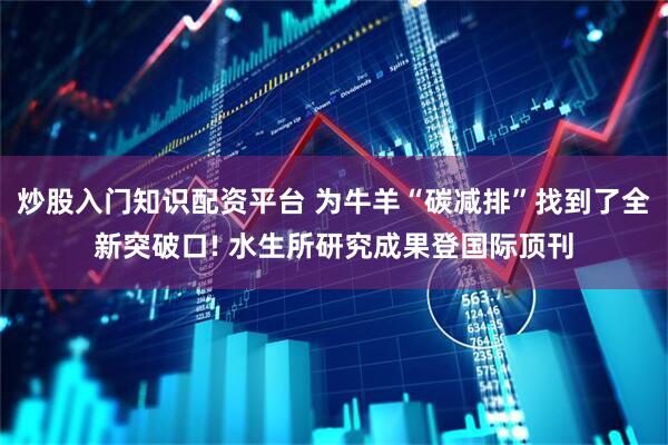 炒股入门知识配资平台 为牛羊“碳减排”找到了全新突破口! 水生所研究成果登国际顶刊